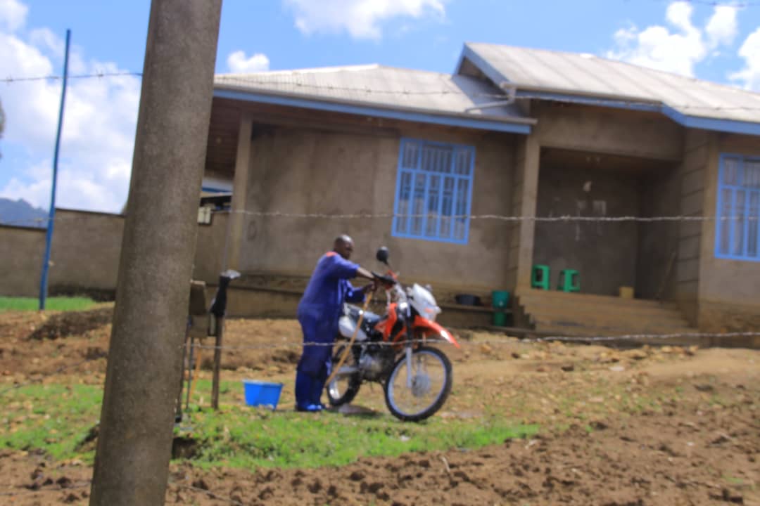 Ici il y a une image